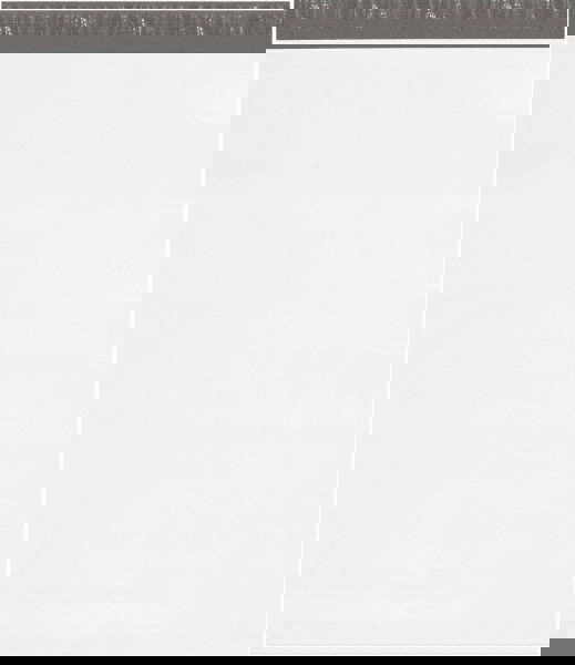 Courier Mailing Envelope: 26